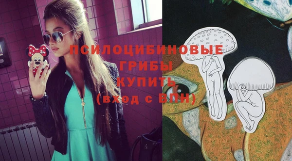 кокс Арсеньев