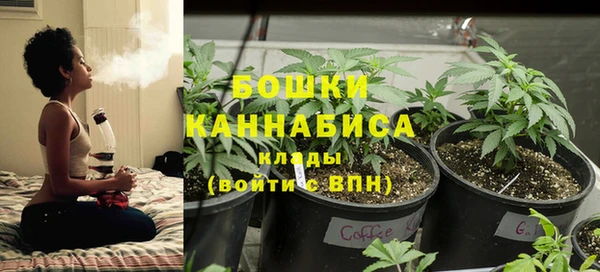 кокс Арсеньев