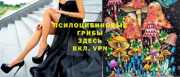 дурь Аркадак